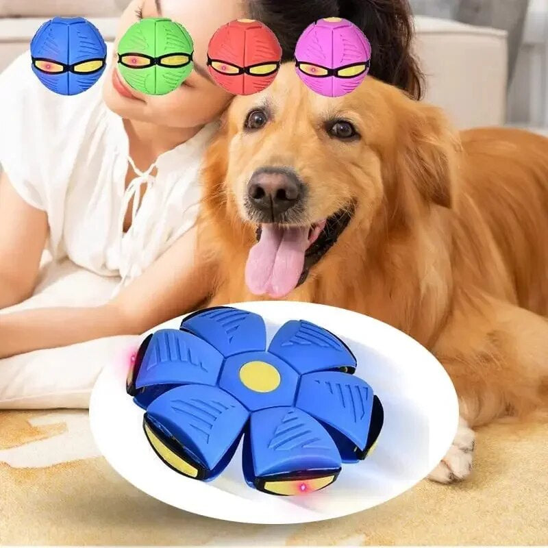 UFO Saucer Ball Dog Toy