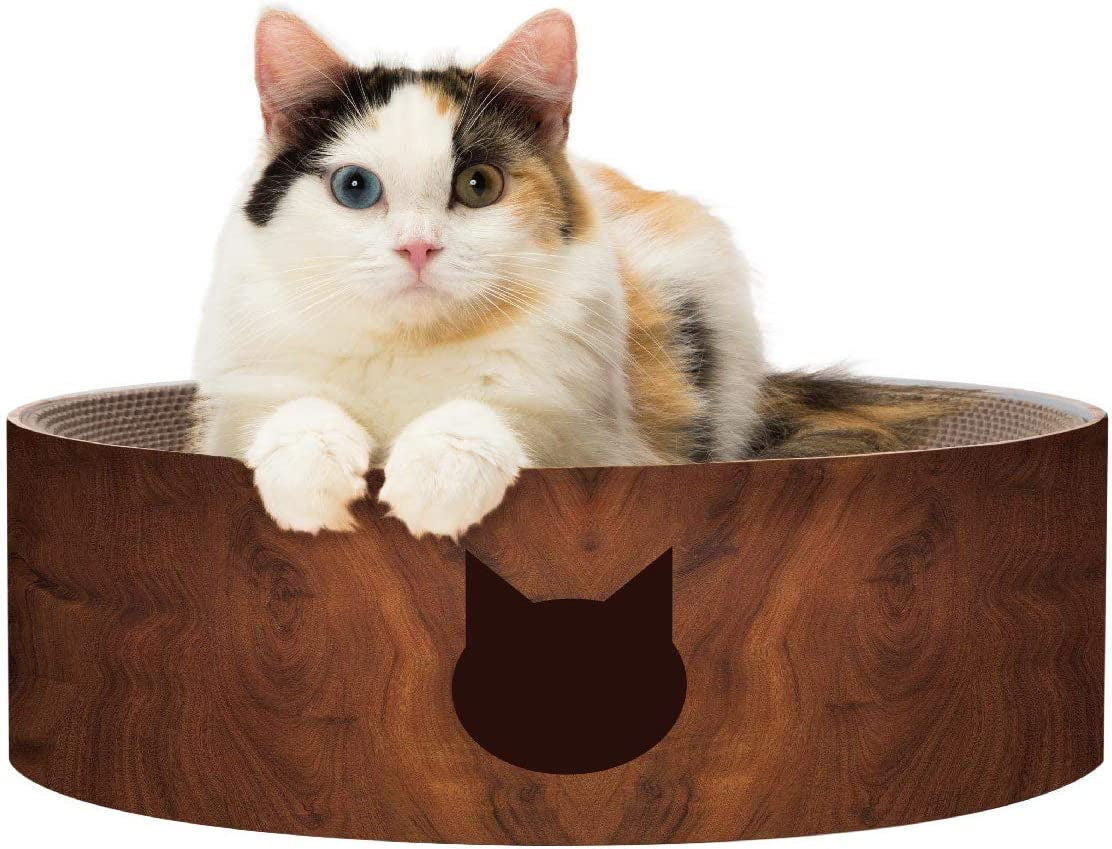 Cozy Cat Scratcher Bowl, 100% Recycled Paper, Chemical-Free Materials, No.1 Sellr in Japan! (Bowl (Oak), Regular) 