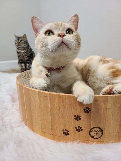 Cozy Cat Scratcher Bowl, 100% Recycled Paper, Chemical-Free Materials, No.1 Sellr in Japan! (Bowl (Oak), Regular)