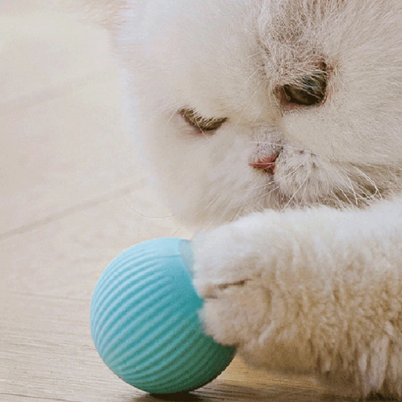 Automatic Rolling Ball Cat Toy