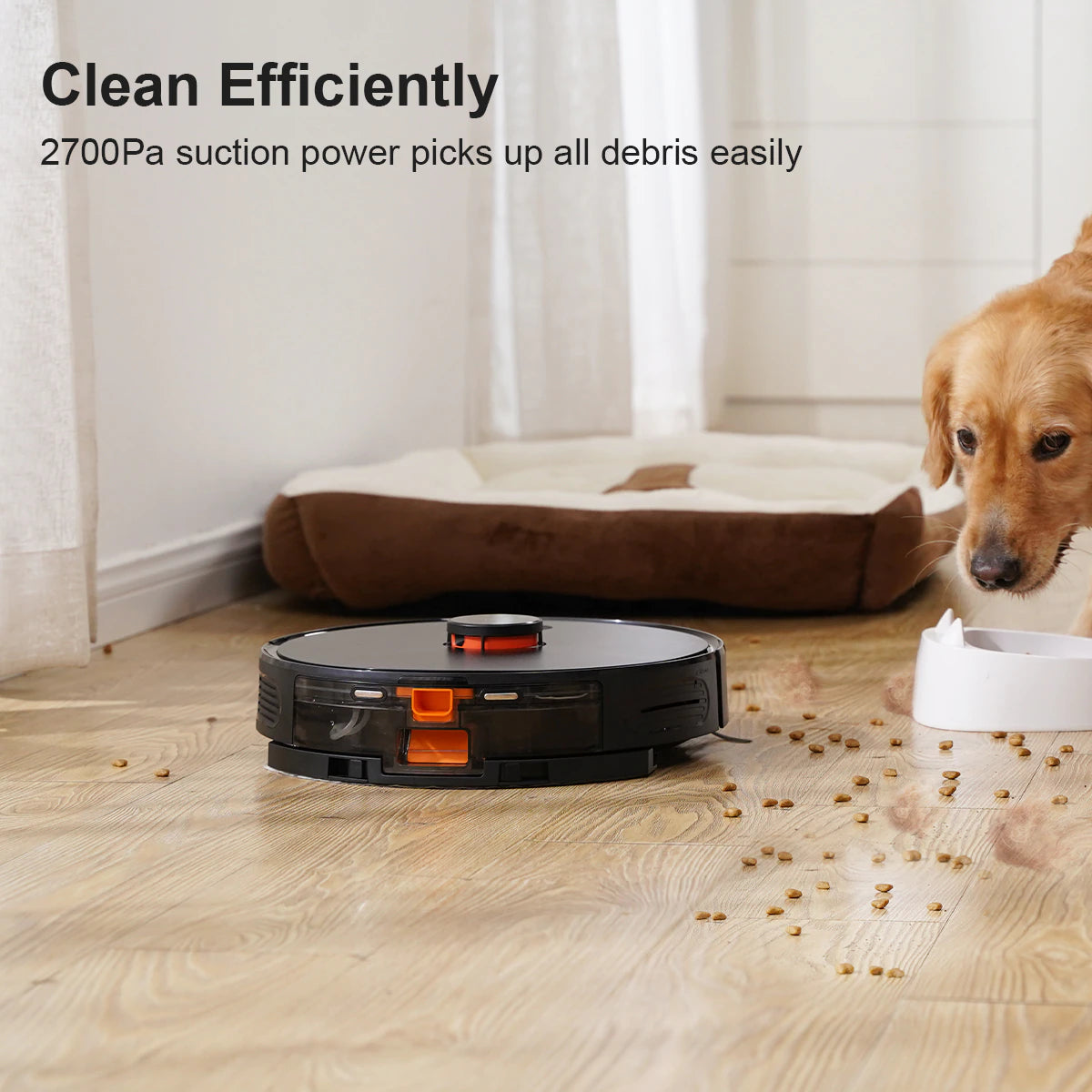 Self-Empty Robotic Vacuum