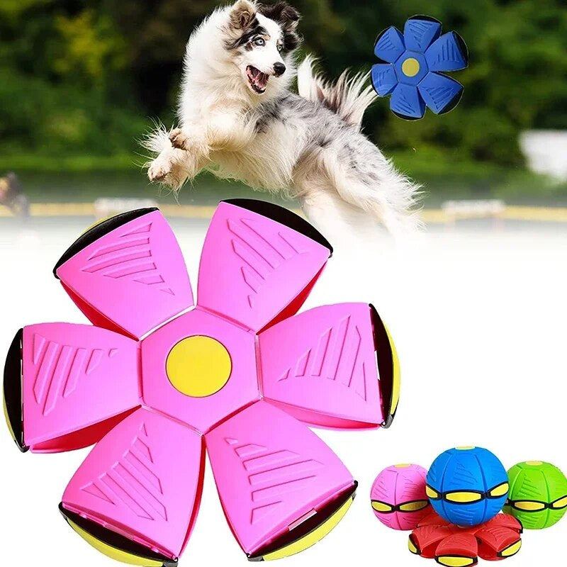 UFO Saucer Ball Dog Toy 